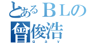 とあるＢＬの曾俊浩（ｇａｙ）