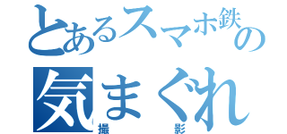 とあるスマホ鉄の気まぐれ撮影（撮影）