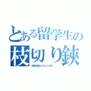 とある留学生の枝切り鋏（不倫弁護士のちんこは今．．．）