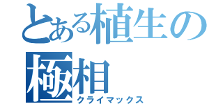 とある植生の極相（クライマックス）