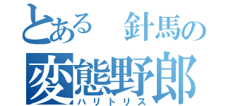 とある 針馬の変態野郎（ハリトリス）