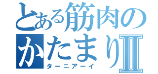 とある筋肉のかたまりⅡ（ターニアーイ）