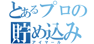 とあるプロの貯め込み屋（アイマール）