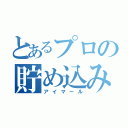 とあるプロの貯め込み屋（アイマール）