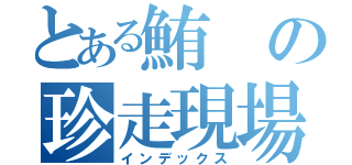 とある鮪の珍走現場（インデックス）