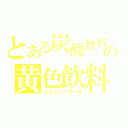 とある炭酸飲料の黄色飲料（ジンジャーエール）