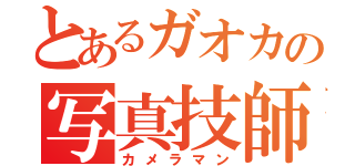 とあるガオカの写真技師（カメラマン）