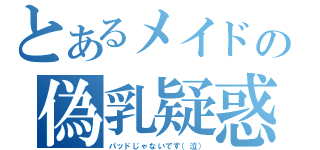 とあるメイドの偽乳疑惑（パッドじゃないです（泣））