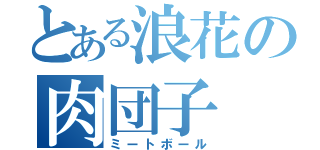 とある浪花の肉団子（ミートボール）