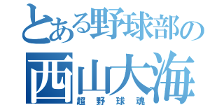 とある野球部の西山大海（超野球魂）