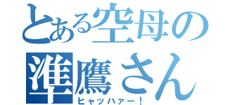 とある空母の準鷹さん（ヒャッハァー！）