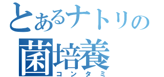 とあるナトリの菌培養（コンタミ）