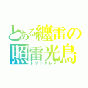 とある纏雷の照雷光鳥（トリドクレス）