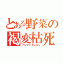 とある野菜の褐変枯死（インフェクション）