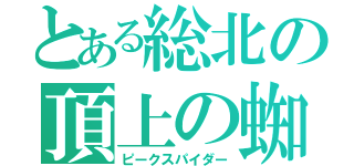 とある総北の頂上の蜘蛛男（ピークスパイダー）