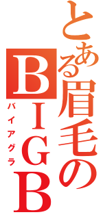 とある眉毛のＢＩＧＢＯＳＳ！！（バイアグラ）