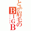 とある眉毛のＢＩＧＢＯＳＳ！！（バイアグラ）