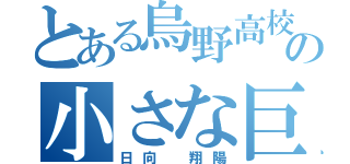 とある烏野高校の小さな巨人（日向 翔陽）