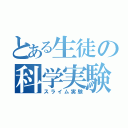 とある生徒の科学実験（スライム実験）