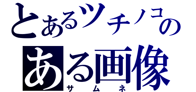 とあるツチノコのある画像（サムネ）