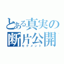 とある真実の断片公開（セグメント）