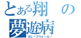 とある翔の夢遊病（スリープウォーカー）