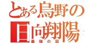 とある烏野の日向翔陽（最強の囮）