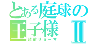 とある庭球の王子様Ⅱ（越前リョーマ）