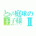 とある庭球の王子様Ⅱ（越前リョーマ）