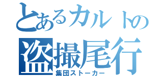 とあるカルトの盗撮尾行（集団ストーカー）