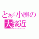 とある小鹿の大接近（♪チャッチャッチャッチャッチャチャララララ）