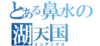 とある鼻水の湖天国（インデックス）