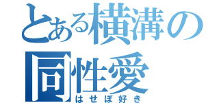 とある横溝の同性愛（はせぽ好き）