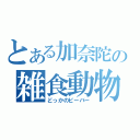 とある加奈陀の雑食動物（どっかのビーバー）