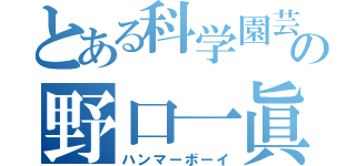 とある科学園芸の野口一眞（ハンマーボーイ）