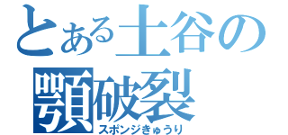 とある土谷の顎破裂（スポンジきゅうり）