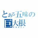 とある五味の巨大根（デカチン♪）