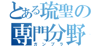 とある琉聖の専門分野（ガンプラ）