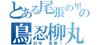 とある尾張の里の鳥忍柳丸（只今　見参！）