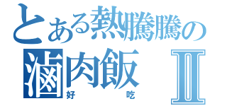 とある熱騰騰の滷肉飯Ⅱ（好吃）