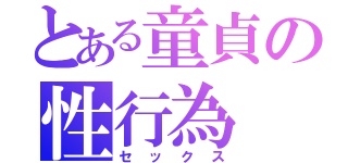 とある童貞の性行為（セックス）