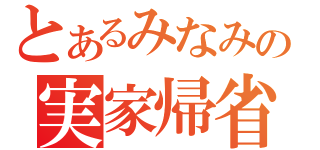 とあるみなみの実家帰省（）