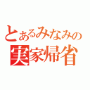 とあるみなみの実家帰省（）