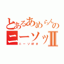 とあるあめらんのニーソックスⅡ（ニーソ好き）