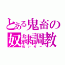 とある鬼畜の奴隷調教（悦いぞ～）