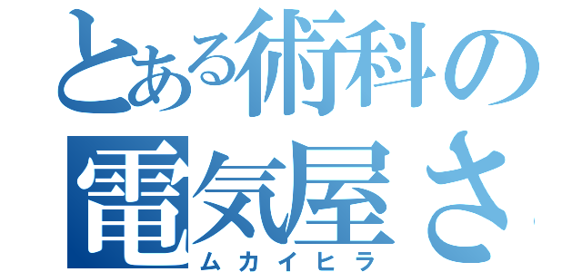 とある術科の電気屋さん（ムカイヒラ）