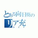 とある向日葵のリア充（カエデ）