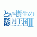 とある樹生の蜜月王国Ⅱ（ハーレムマスター）