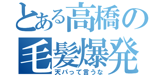 とある高橋の毛髪爆発（天パって言うな）