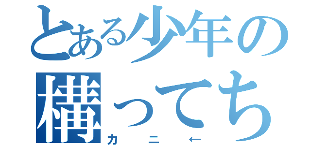 とある少年の構ってちゃん（カニ←）